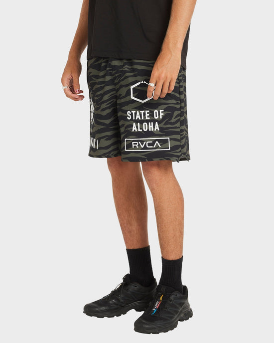 Mens Hawaii 17" Walkshorts