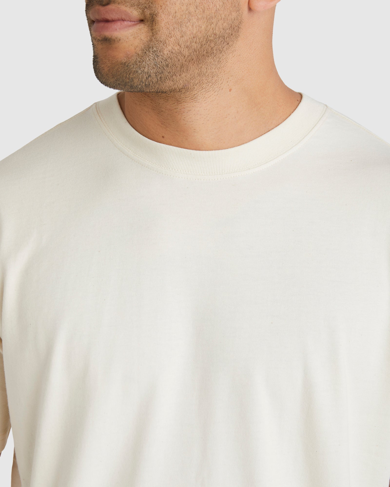 Mens RVCA Basic T-Shirt