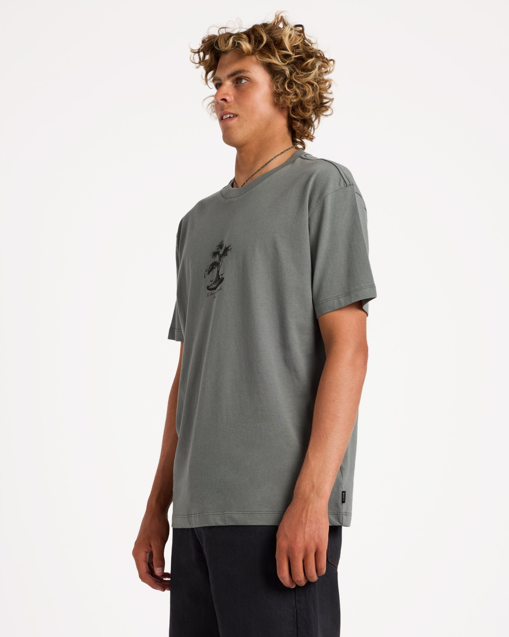 uvyzt00991_rvca_sle_sd1